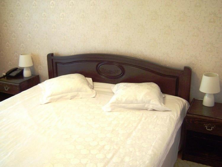 Hanul Dacilor Iasi Room photo